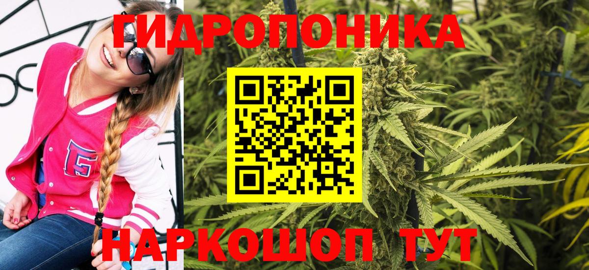 Марихуана конопля  Каннабис White Widow  Вход с VPN  Шишки марихуана марихуана  Азнакаево  Конопля AK-47 